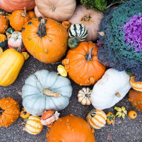 Farmers Market Haul: What to Buy Every Single Week This Fall